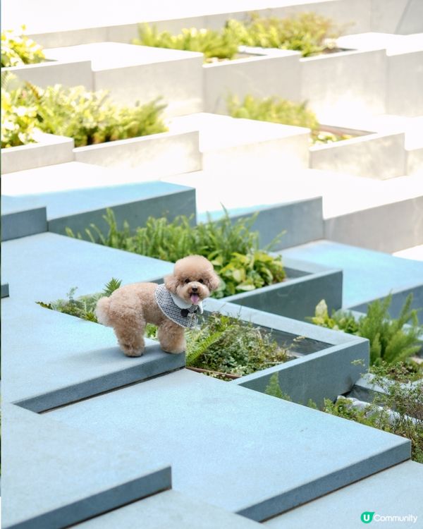 香港文青打卡好去處-瓊林街🤍💚