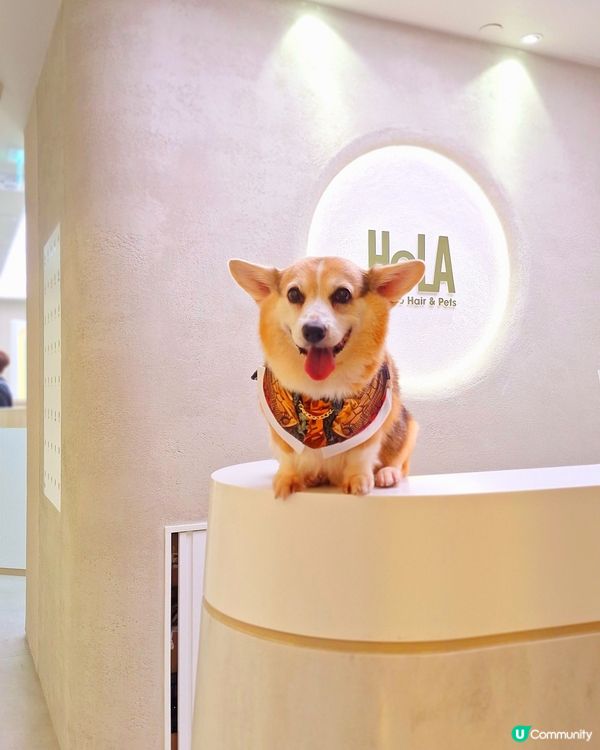 人寵美容，靚仔我至愛！🐶💖