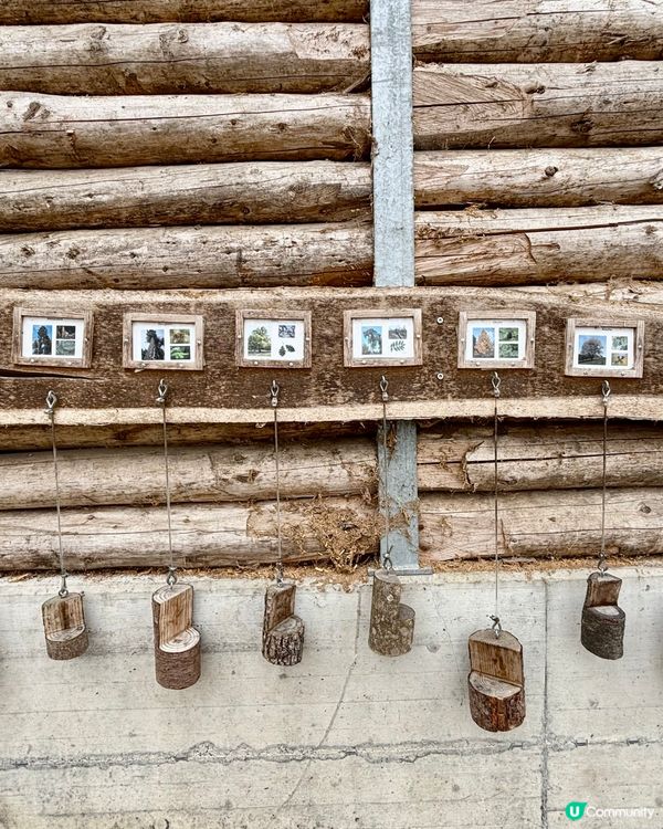 《免費自然教育課》 🤓