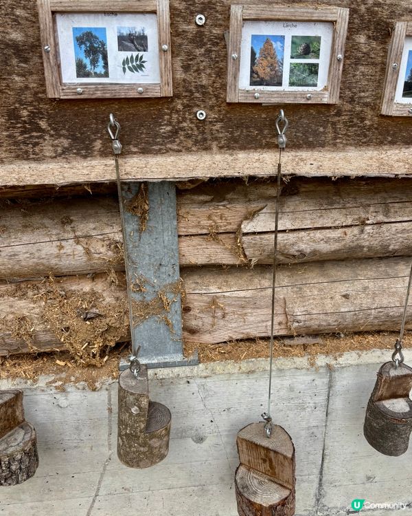 《免費自然教育課》 🤓