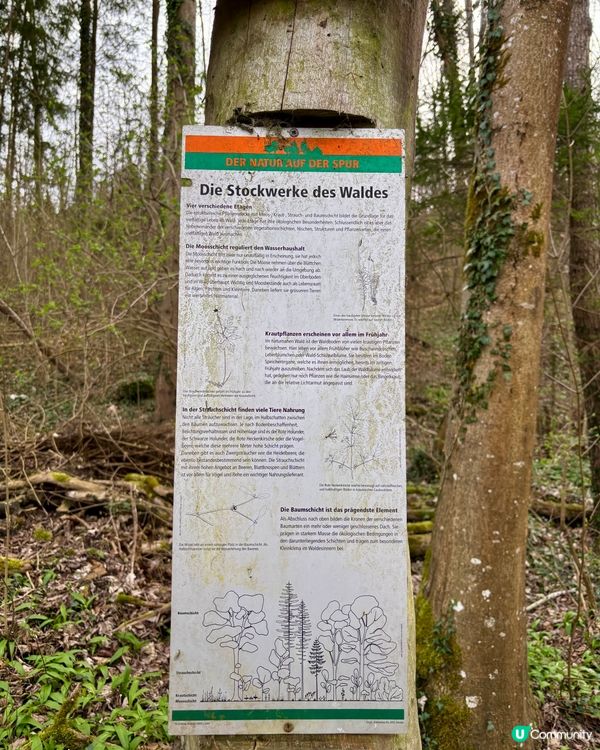 《免費自然教育課》 🤓