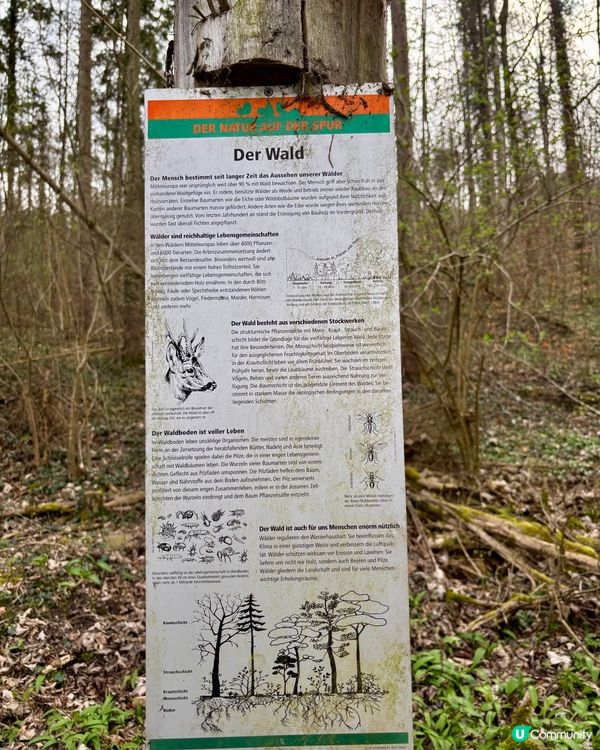 《免費自然教育課》 🤓