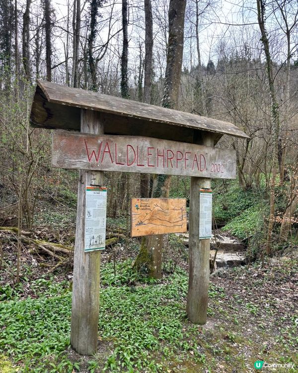 《免費自然教育課》 🤓