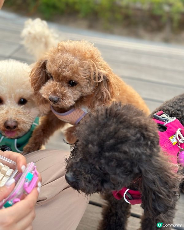 同老best一齊🤭