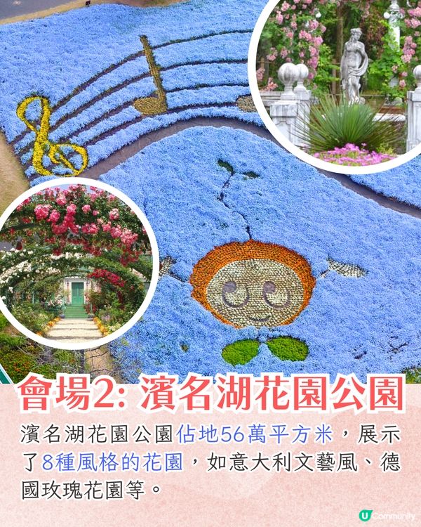 靜岡濱名湖花之祭典2025開幕🌸粉蝶花花海/櫻花/紫藤花庭院/玫瑰花園🚗附票價資訊