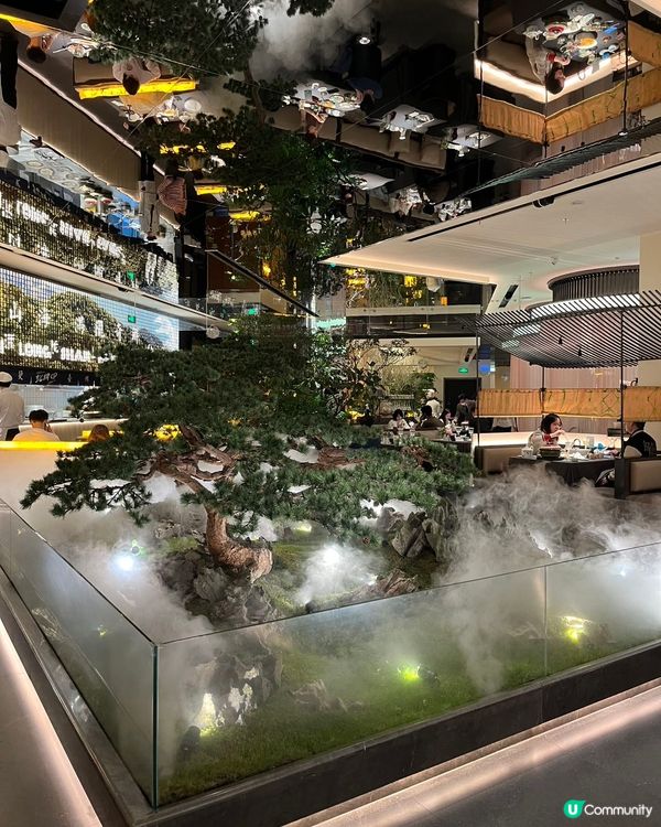 深圳必食蟹粉大湯包🦀🤤 滿隴山房