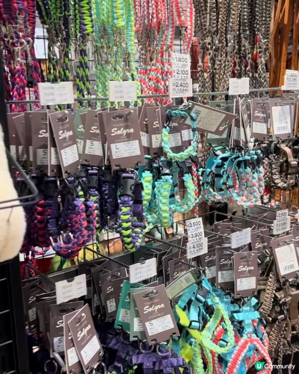 東京寵物店の分享🛒