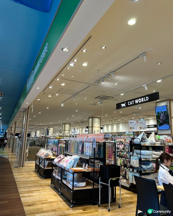 東京寵物店の分享🛒