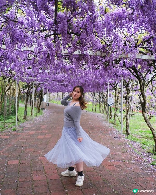 淡水紫藤花園X鬼滅無限城之戰