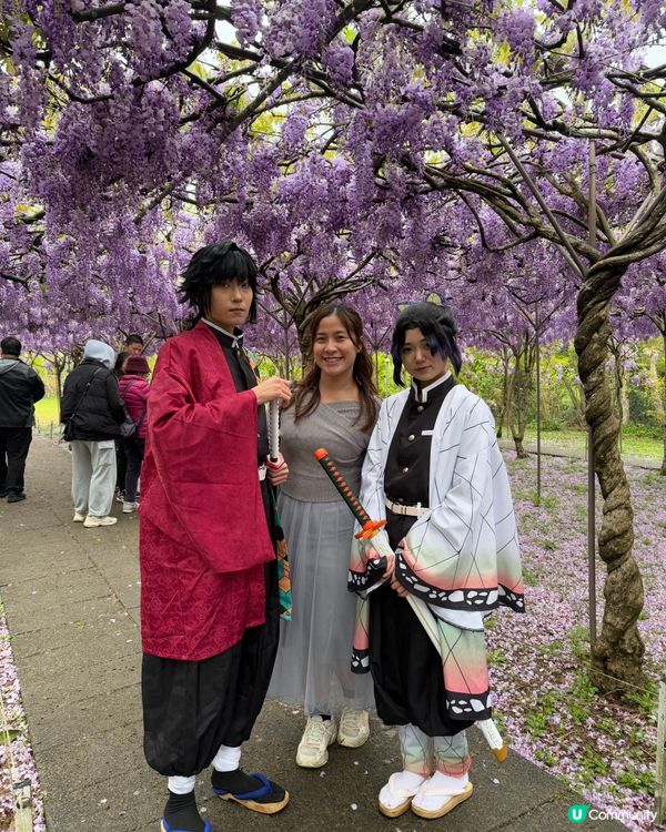 淡水紫藤花園X鬼滅無限城之戰
