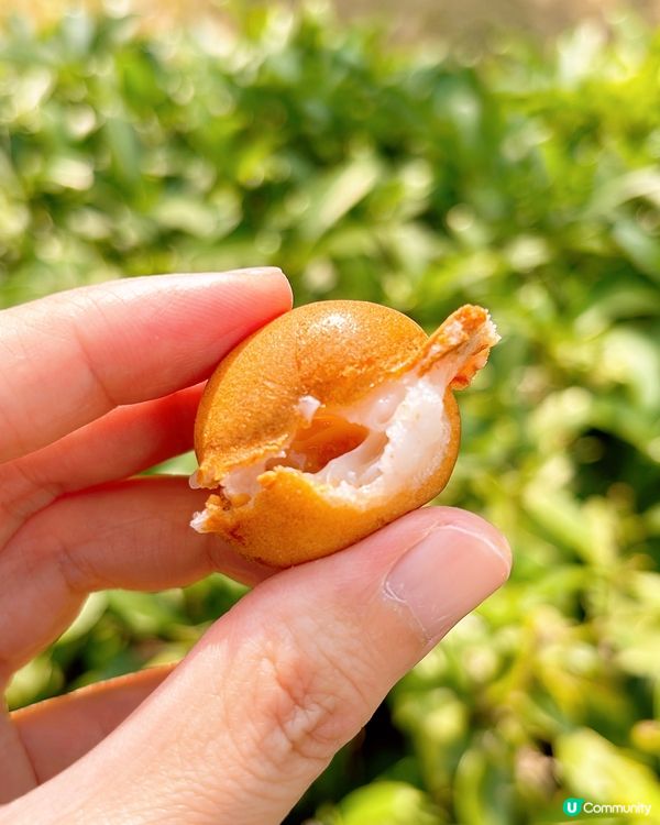 🎏均香踩過界‼️聯乘豬隊友出花生糯米糍雞蛋仔🔥