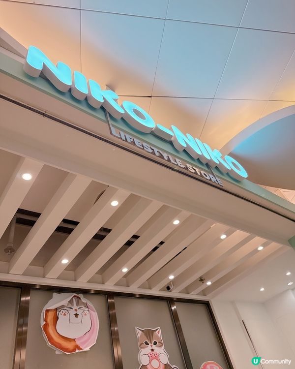 日本直送😍  超可愛Chiikawa 開張啦！🎉