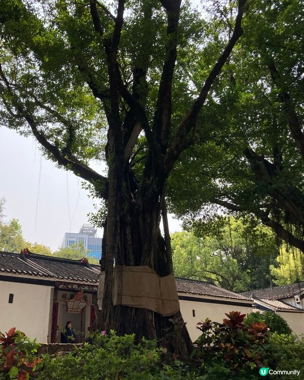 ## 荃灣三棟屋，古色古香 ✨