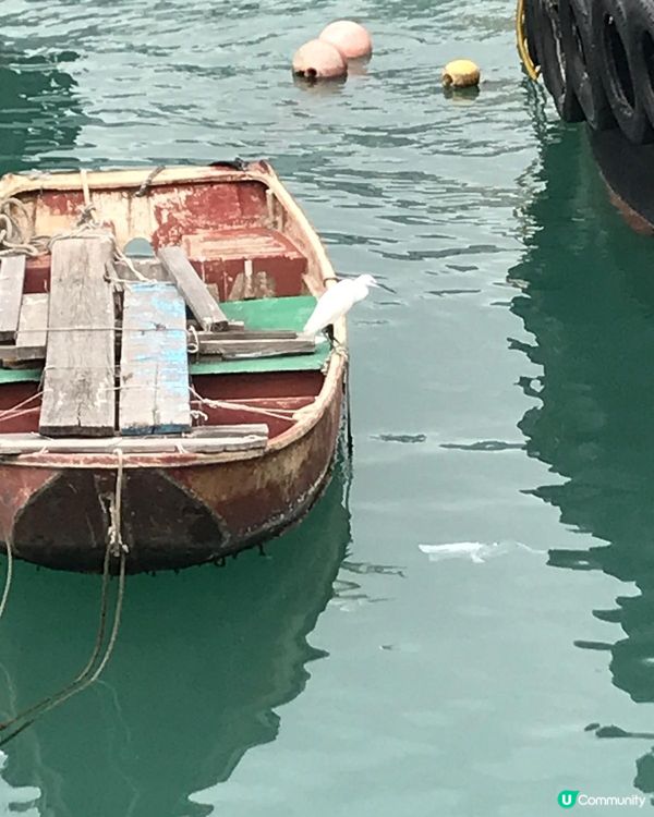 屯門海賓長廊，親子運動好去處