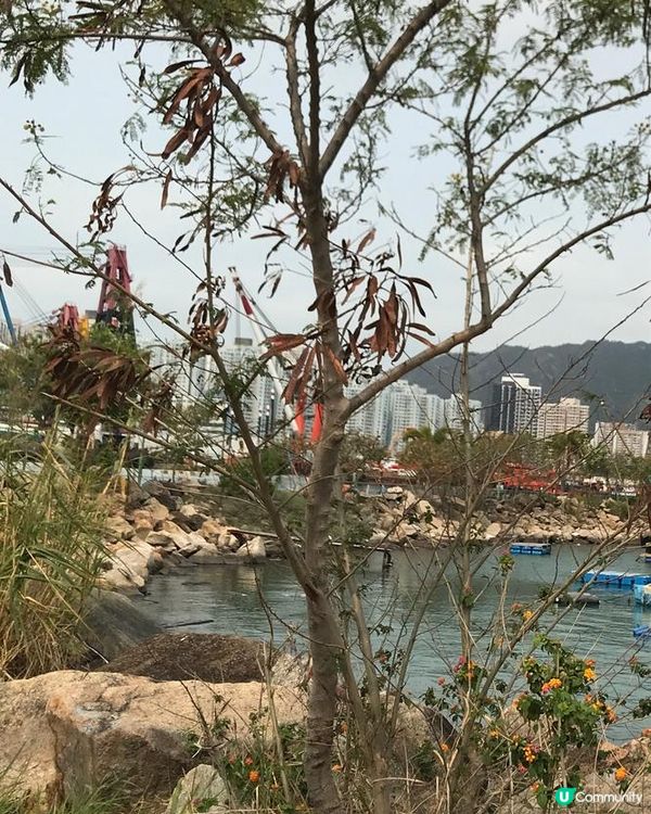 屯門海賓長廊，親子運動好去處