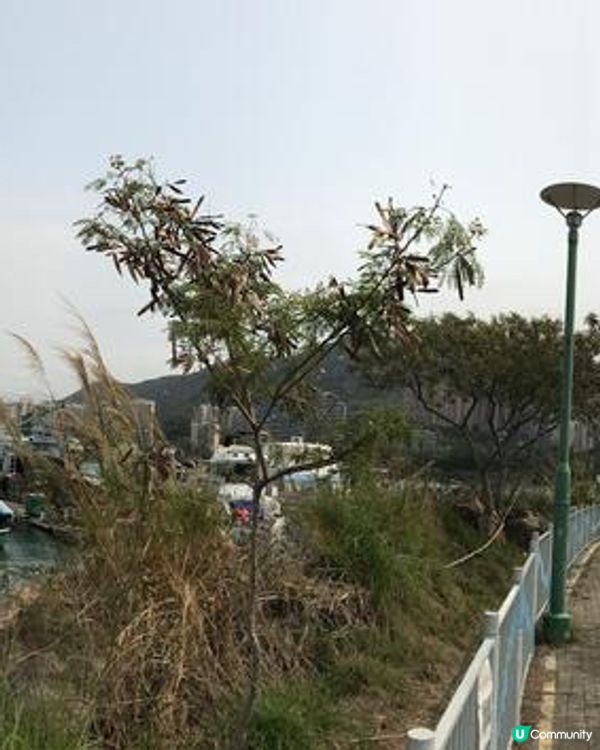 屯門海賓長廊，親子運動好去處