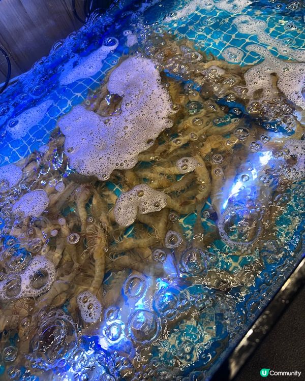 觀塘新店登場！泰金鍋🔥🦐🦀