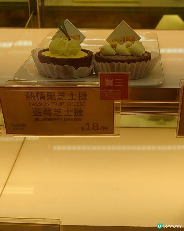 藍莓芝士撻試食報告！🫐🧀🥧🧁