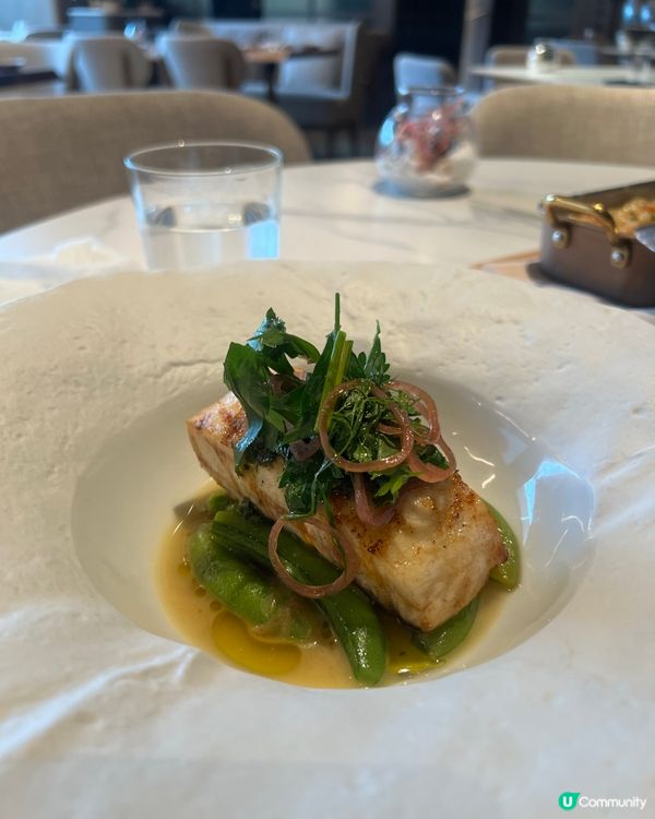 銅鑼灣隱世高CP！🔥煤氣公司餐廳$300食五星質素🤩🤤