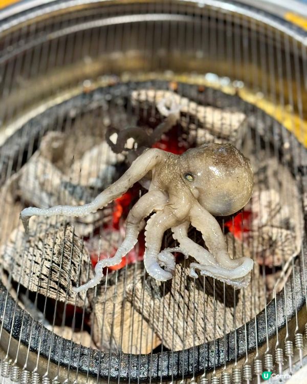 深圳燒肉天堂🔥 幸福柚子炭火烤肉 🤤