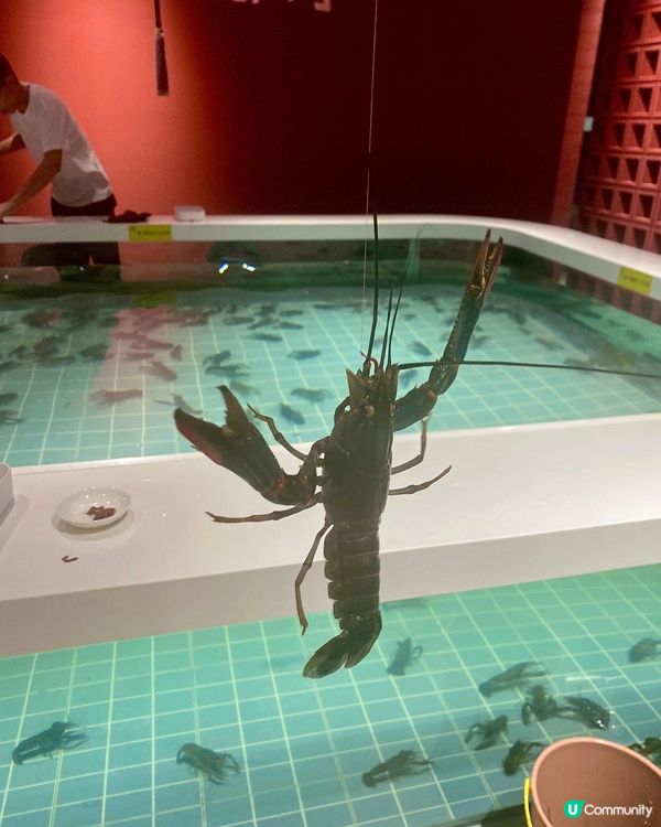 ☀️深圳室內玩樂天堂！湄南河體育產業園，玩到停唔到！🤩