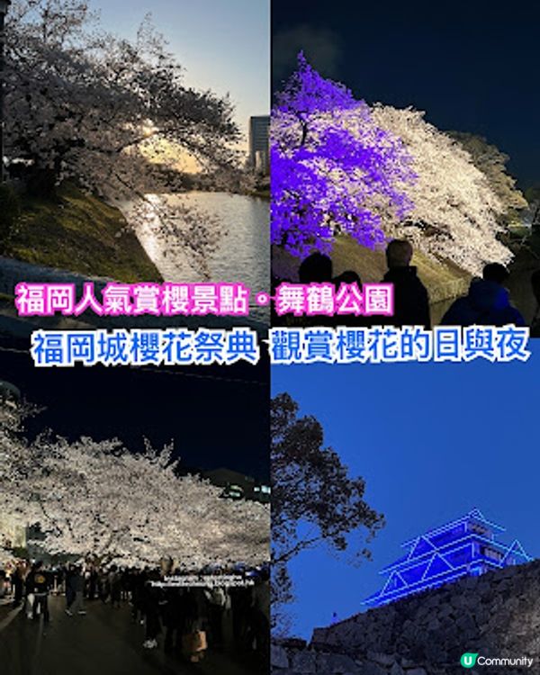 舞鶴公園 💕 福岡城櫻花祭典 🌸 觀賞櫻花的日與夜
