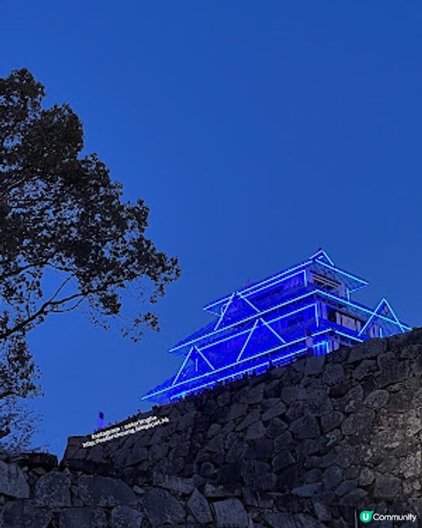 舞鶴公園 💕 福岡城櫻花祭典 🌸 觀賞櫻花的日與夜