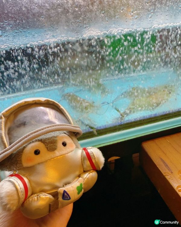 蝦蝦燒食到哈哈笑😆