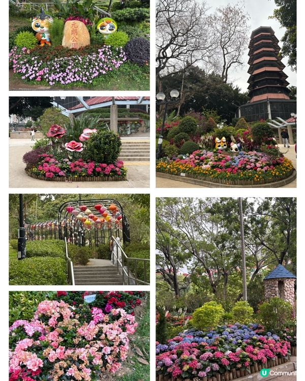 兒童節去邊度玩好？元朗公園都唔錯喎！🤩