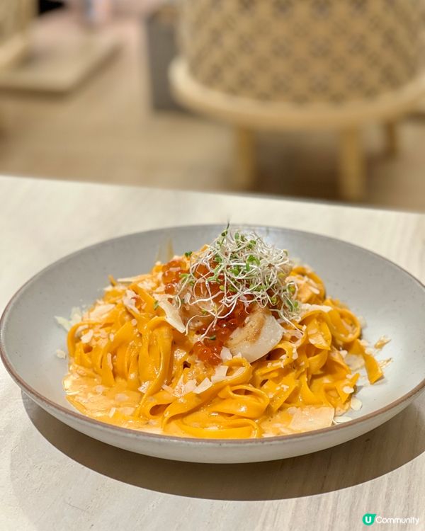 《旺角日西Fusion菜 必食四色提拉米蘇盒子》