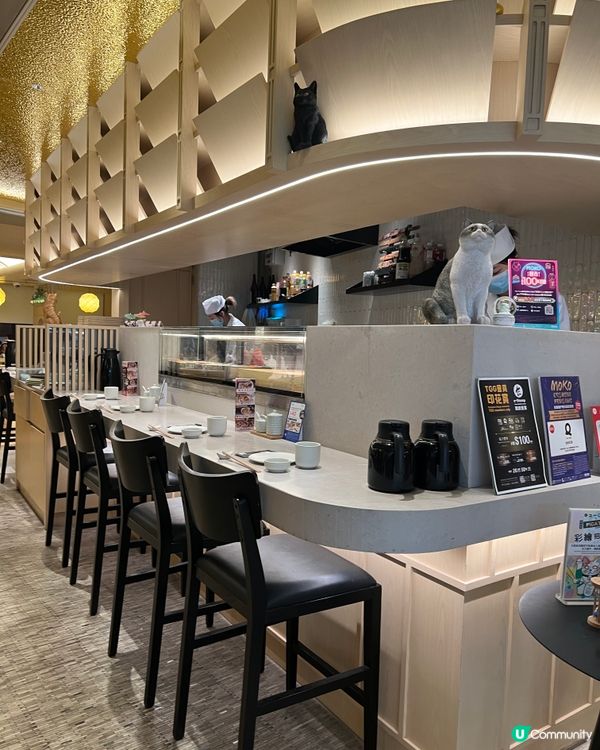 《旺角日西Fusion菜 必食四色提拉米蘇盒子》