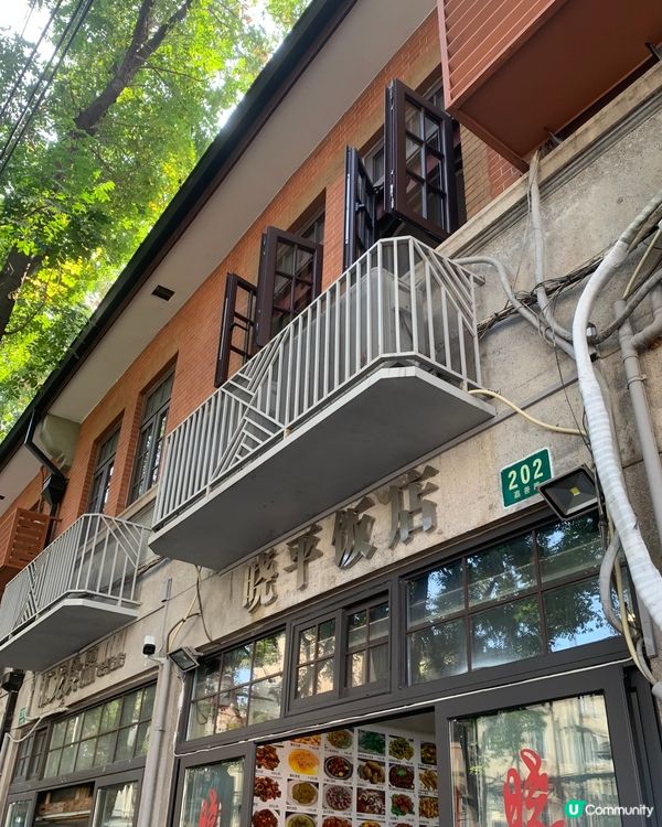 上海探店|上海的味道·必食毛蟹年糕