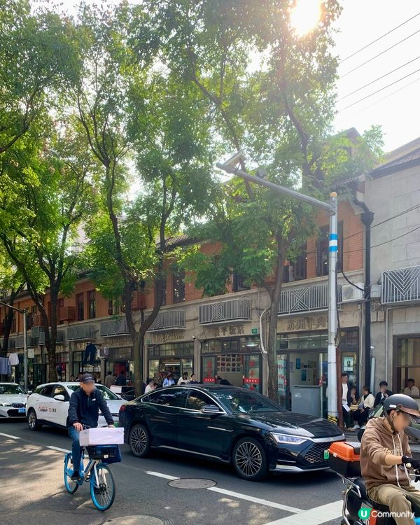 上海探店|上海的味道·必食毛蟹年糕