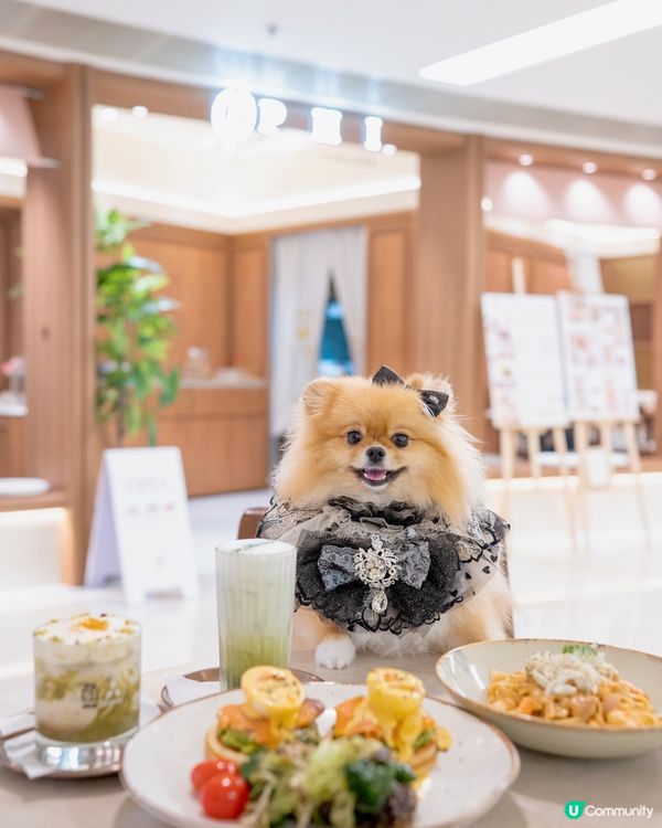 人氣高質梳乎厘 終於喺元朗開分店啦😍