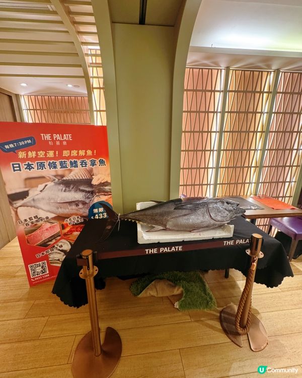 [卡米菲．自助餐] |🔥激推自助餐天花板-和牛盛宴