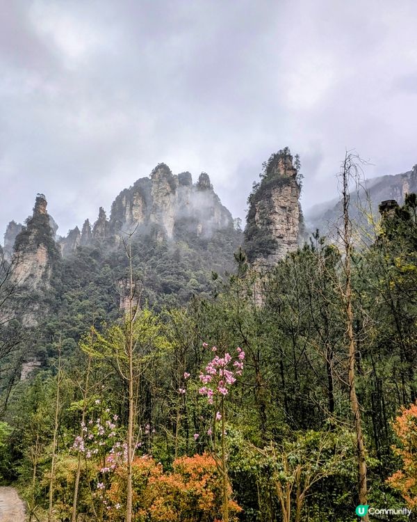 人生必到美景❤️超全攻略！自由行無難度（I）