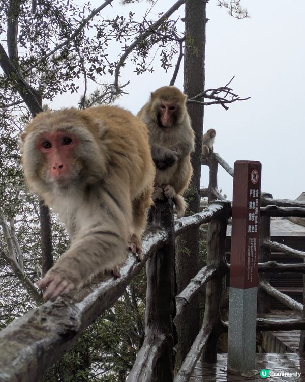 人生必到美景❤️超全攻略！自由行無難度（I）