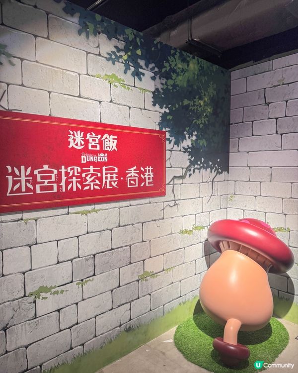 迷宮飯粉絲必朝聖｜巨龍、料理、手稿全都有