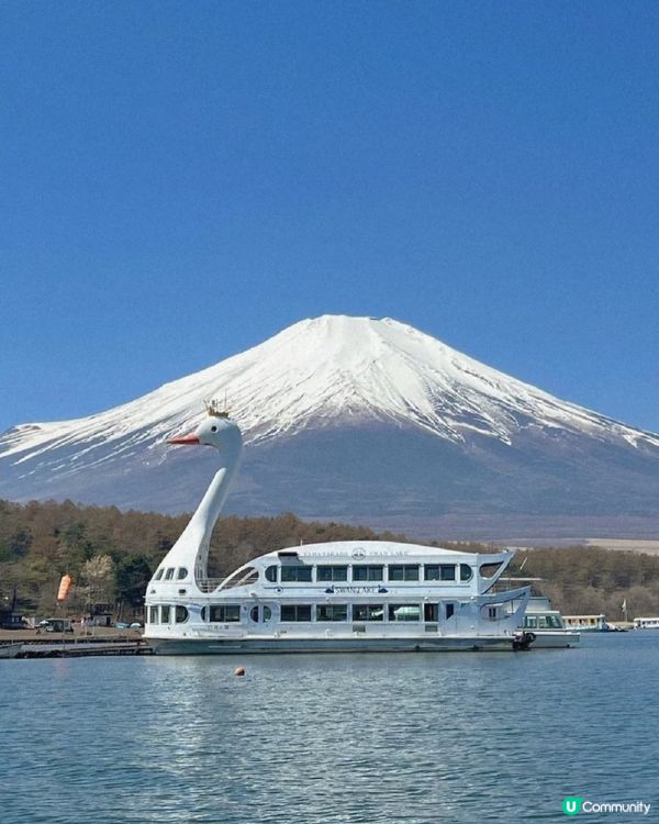 富士山一日遊🏔️ 水陸巴士體驗！🤩