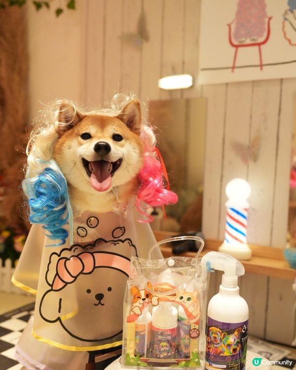 精緻小狗必備PETPET洗護套裝🐾