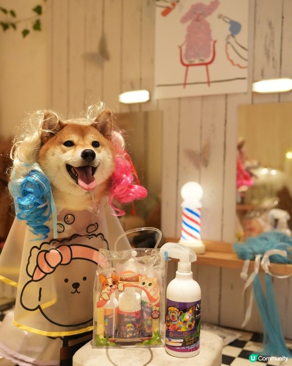 精緻小狗必備PETPET洗護套裝🐾