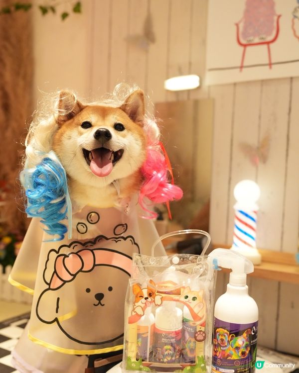 精緻小狗必備PETPET洗護套裝🐾