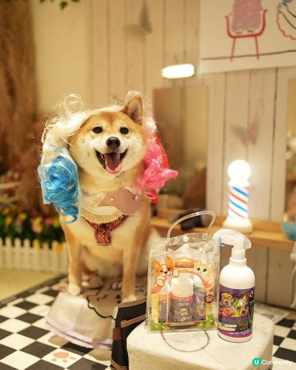 精緻小狗必備PETPET洗護套裝🐾