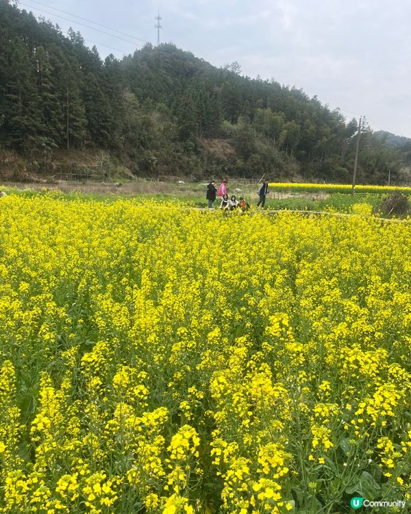 Hongcun 洪村 #好去處#chill#隱世打卡點#打卡...