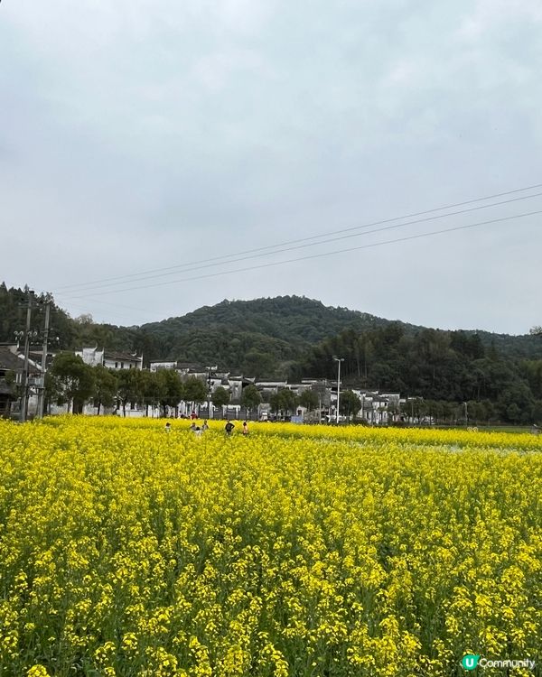 Hongcun 洪村 #好去處#chill#隱世打卡點#打卡...