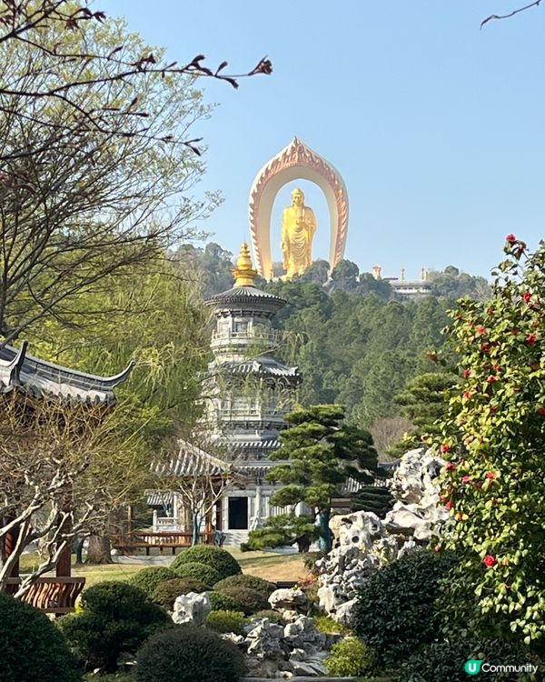 東林大佛 ~ 佛教淨土宗發源地 ##中國好去處#輕鬆出遊#好...