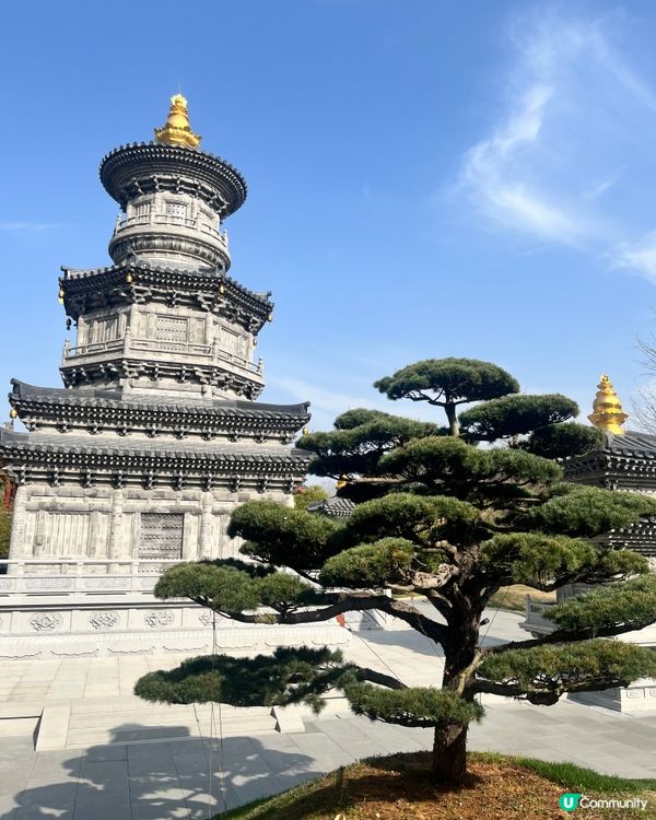 東林大佛 ~ 佛教淨土宗發源地 ##中國好去處#輕鬆出遊#好...