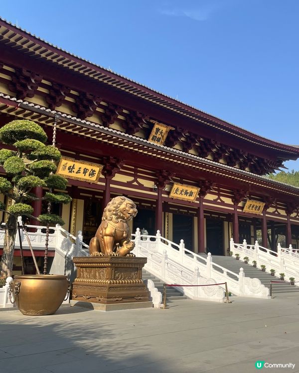 東林大佛 ~ 佛教淨土宗發源地 ##中國好去處#輕鬆出遊#好...