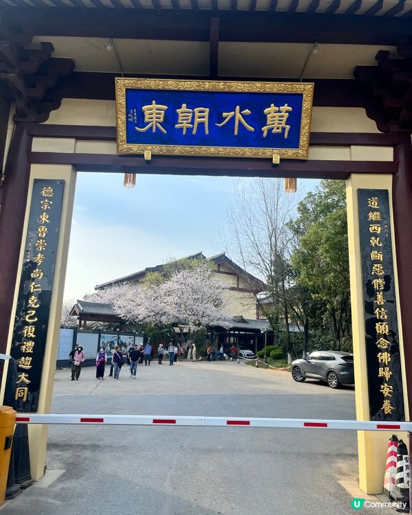 東林大佛 ~ 佛教淨土宗發源地 ##中國好去處#輕鬆出遊#好...