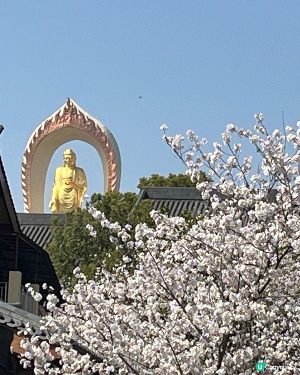 東林大佛 ~ 佛教淨土宗發源地 ##中國好去處#輕鬆出遊#好...